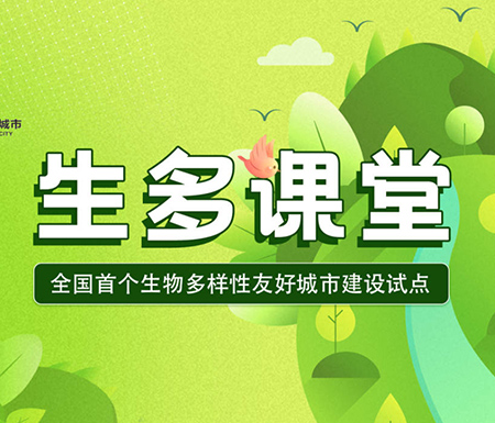 《生多课堂》第十课走进大自然里的“昆虫旅馆”，公司产品持续助力本地生态体验与科普宣教