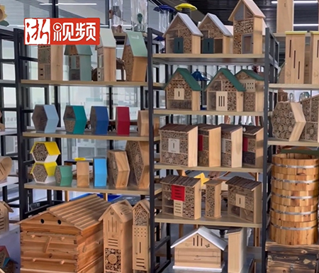 创始人陈威：为小鸟和昆虫造“房子”，致力保护生物多样性