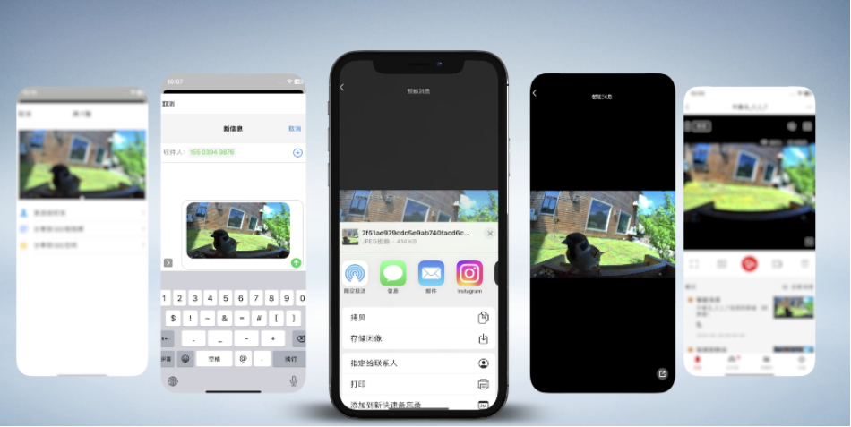 1781678645856466.png 图片11.png