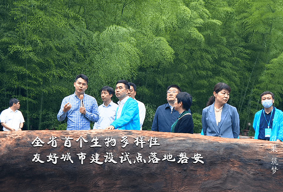 生态治理与智能决策支持